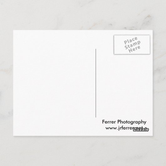 Met bomen beklede Pond en Reedy Marsh in het voorj Briefkaart (Achterkant)