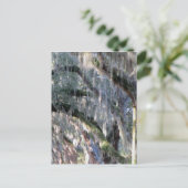 met bomen bekleed briefkaart (Staand voorkant)