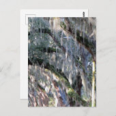 met bomen bekleed briefkaart (Voorkant / Achterkant)