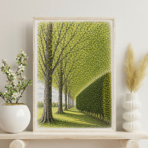 Met bomen omzoomd pad Botanische landschapskunst Poster