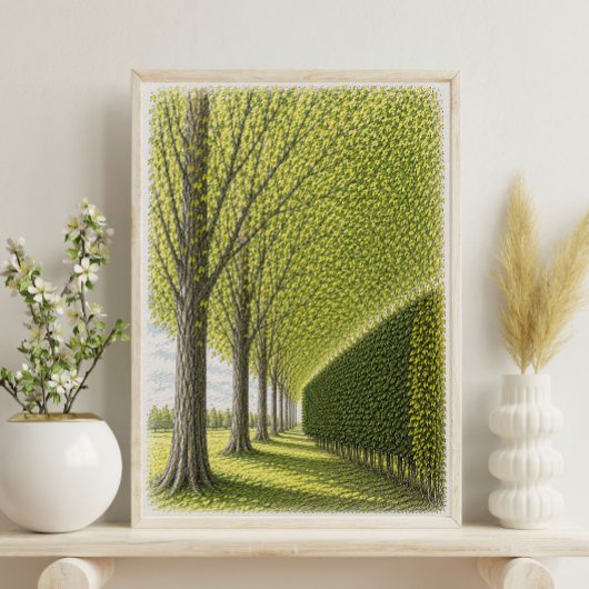 Met bomen omzoomd pad | Botanische landschapskunst Poster