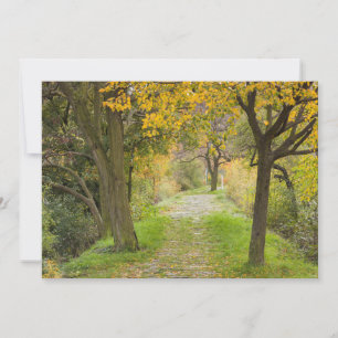 Met bomen omzoomd pad in de herfst bedankkaart