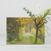 Met bomen omzoomd pad in de herfst bedankkaart (Staand voorkant)