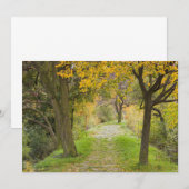 Met bomen omzoomd pad in de herfst bedankkaart (Voorkant / Achterkant)