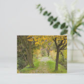 Met bomen omzoomd pad in de herfst briefkaart (Staand voorkant)
