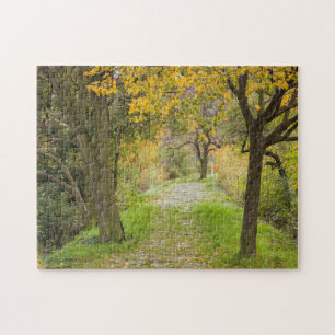 Met bomen omzoomd pad in de herfst legpuzzel