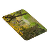 Met bomen omzoomd pad in de herfst magneet (Rechterzijde)