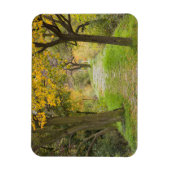 Met bomen omzoomd pad in de herfst magneet (Verticaal)