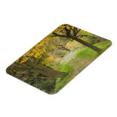 Met bomen omzoomd pad in de herfst magneet (Linkerzijde)