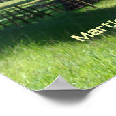 met bomen omzoomde landweg poster (Hoek)