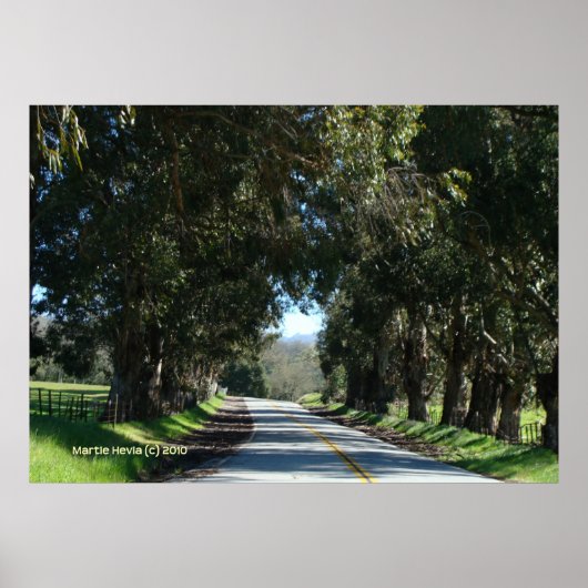 met bomen omzoomde landweg poster (Voorkant)