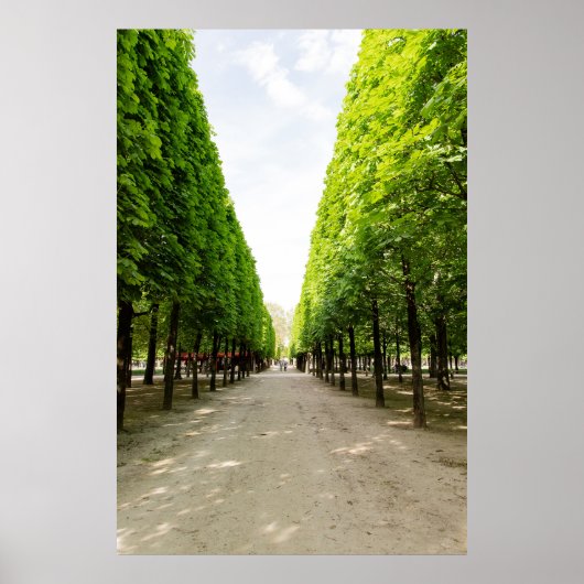 Met bomen omzoomde wandelweg poster (Voorkant)