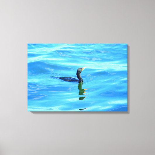 met de aalscholver omhuld doek canvas afdruk (Voorkant)