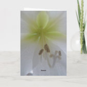 Met de beste sympathiekaarten kaart (Achterkant)