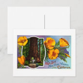 Met de Beste Wensen van het Nieuwjaar van Feestdagenkaart (Voorkant / Achterkant)