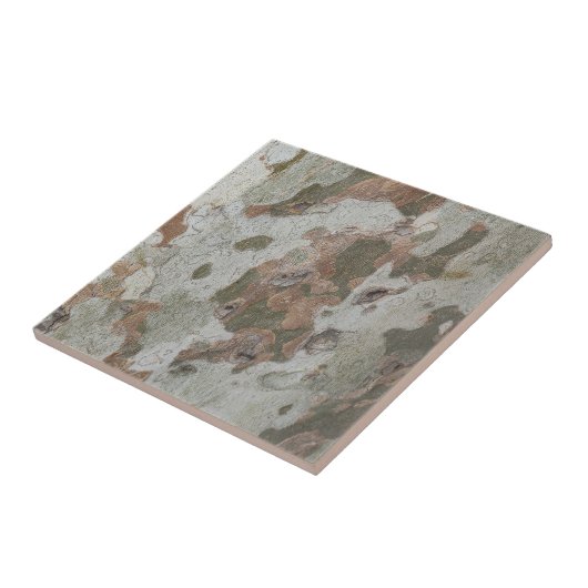 Met de boomstructuur van de boomstam wordt een pat tegeltje (Zijkant)