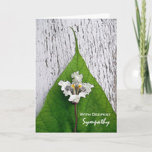 Met de diepste sympathie voor Catalpa Blossom en L Kaart