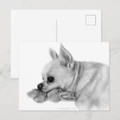 Met de hand beschilderde Chihuahua Bela met favori Briefkaart (Voorkant / Achterkant)