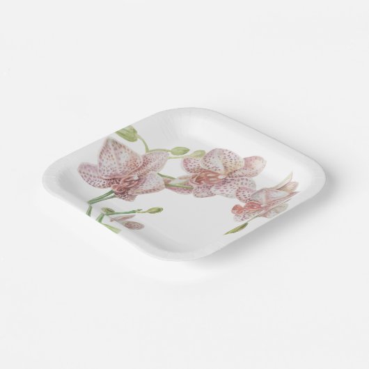 met de hand geillustreerde orchidee papieren bordje (Gebogen)