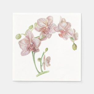 Met de hand geïllustreerde orchidee servet