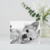 Met de hand geschilderd ontspannen Chihuahua kunst Briefkaart (Staand voorkant)
