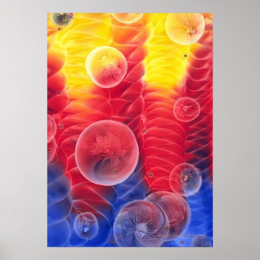 Met de hand geschilderde abstracte kunstwerk rood poster (Voorkant)