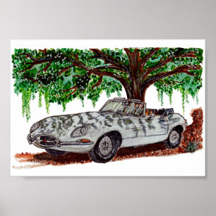 Met de hand geschilderde Jaguar E-Type Cabrio Aqua Poster