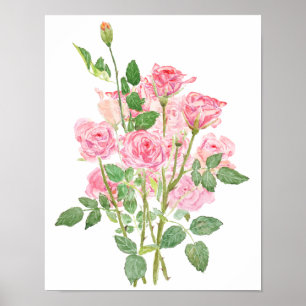 met de hand geschilderde roze roos waterverf poster