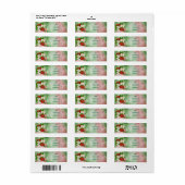 Met de Hand Getekende Appel Adreslabels – Landelij Etiket (Full Sheet)