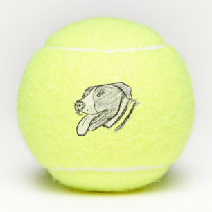met de hand getekende foto van pitbull hond dieren tennisballen
