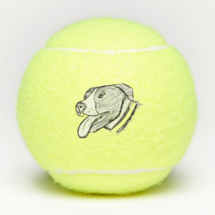 met de hand getekende foto van pitbull hond dieren tennisballen