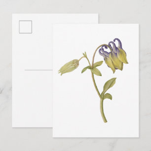 Met de hand getekende gewone akelei bloem briefkaart