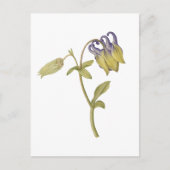Met de hand getekende gewone akelei bloem briefkaart (Voorkant)