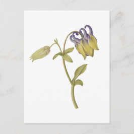 Met de hand getekende gewone akelei bloem briefkaart