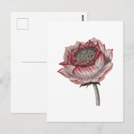 Met de hand getekende lotusillustratie briefkaart