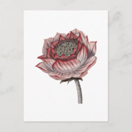 Met de hand getekende lotusillustratie briefkaart
