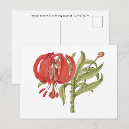 Met de hand getekende ontluikende scharlaken Turks Briefkaart
