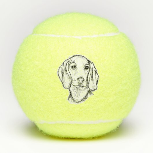 met de hand getekende schets zwarte witte puppy tennisballen (Voorkant)