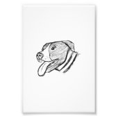 met de hand getrokken foto dierenvriend poster (Voorkant)