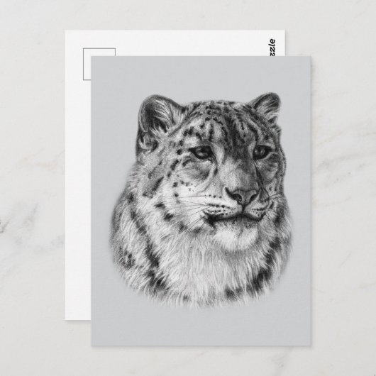 met de hand getrokken sneeuwluipaard briefkaart (Voorkant / Achterkant)