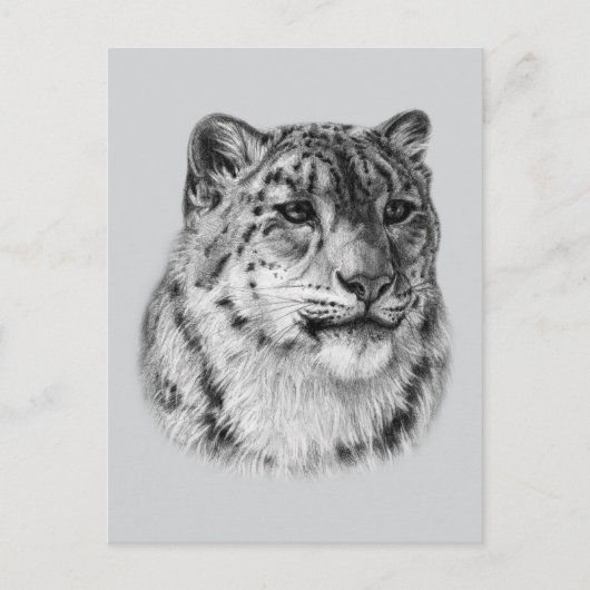 met de hand getrokken sneeuwluipaard briefkaart (Voorkant)