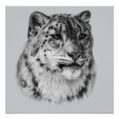 met de hand getrokken sneeuwluipaard perfect poster (Voorkant)