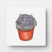 Met de hand getrokken Succulent Fotoplaat (Voorkant)