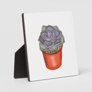 Met de hand getrokken Succulent Fotoplaat