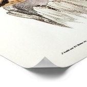 Met de kastanjebruin aangetaste kieuwen van Elizab Poster (Hoek)