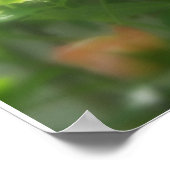 met de schaduw poster (Hoek)