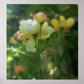 met de schaduw poster