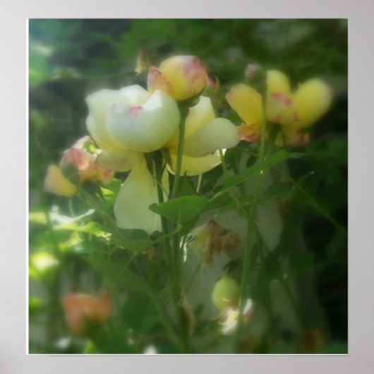 met de schaduw poster (Voorkant)