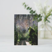 Met de Wolven. Briefkaart (Staand voorkant)