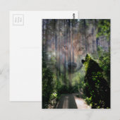 Met de Wolven. Briefkaart (Voorkant / Achterkant)